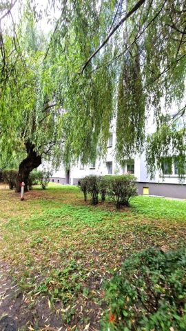Mieszkanie 2-pokojowe Zabrze Centrum, ul. Stanisława Żółkiewskiego. Zdjęcie 11