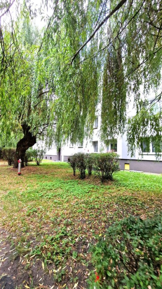 Mieszkanie 2-pokojowe Zabrze Centrum, ul. Stanisława Żółkiewskiego. Zdjęcie 11