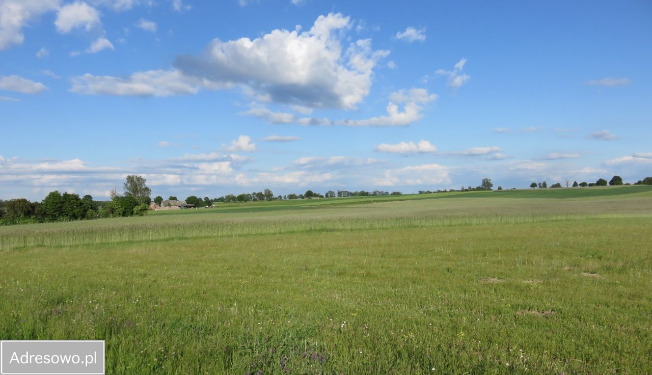 Działka rolno-budowlana Karolewo. Zdjęcie 3