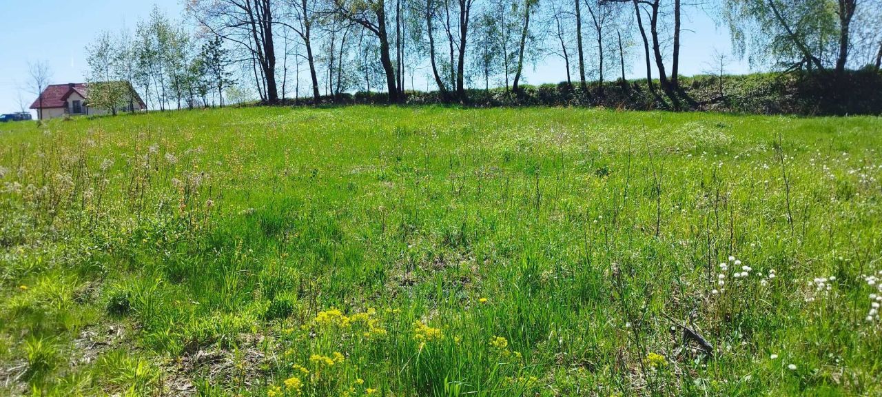 Działka budowlana Królówka. Zdjęcie 6