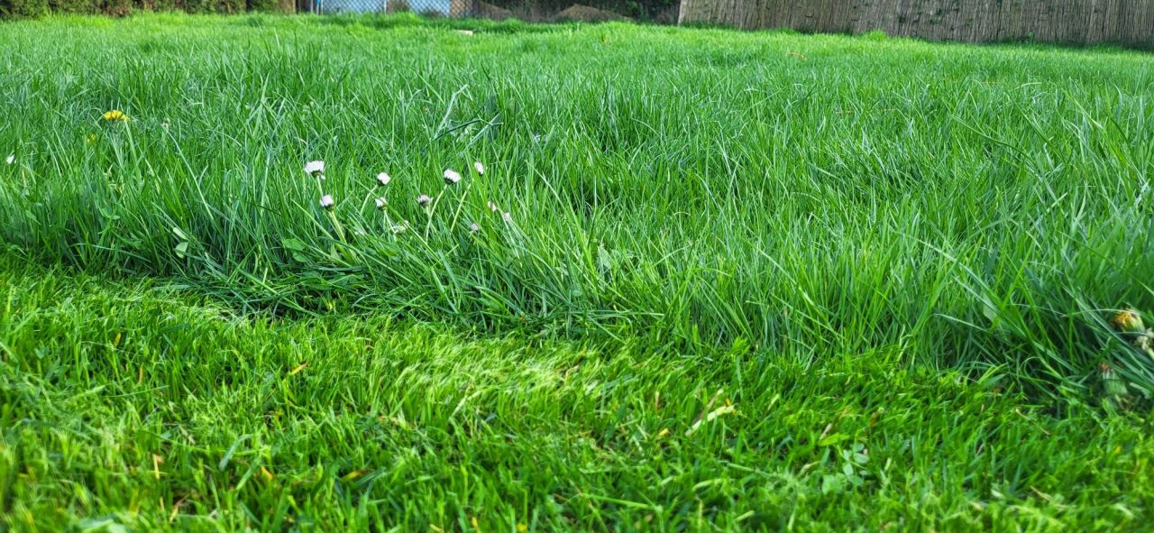 Działka rod Chorzów. Zdjęcie 3