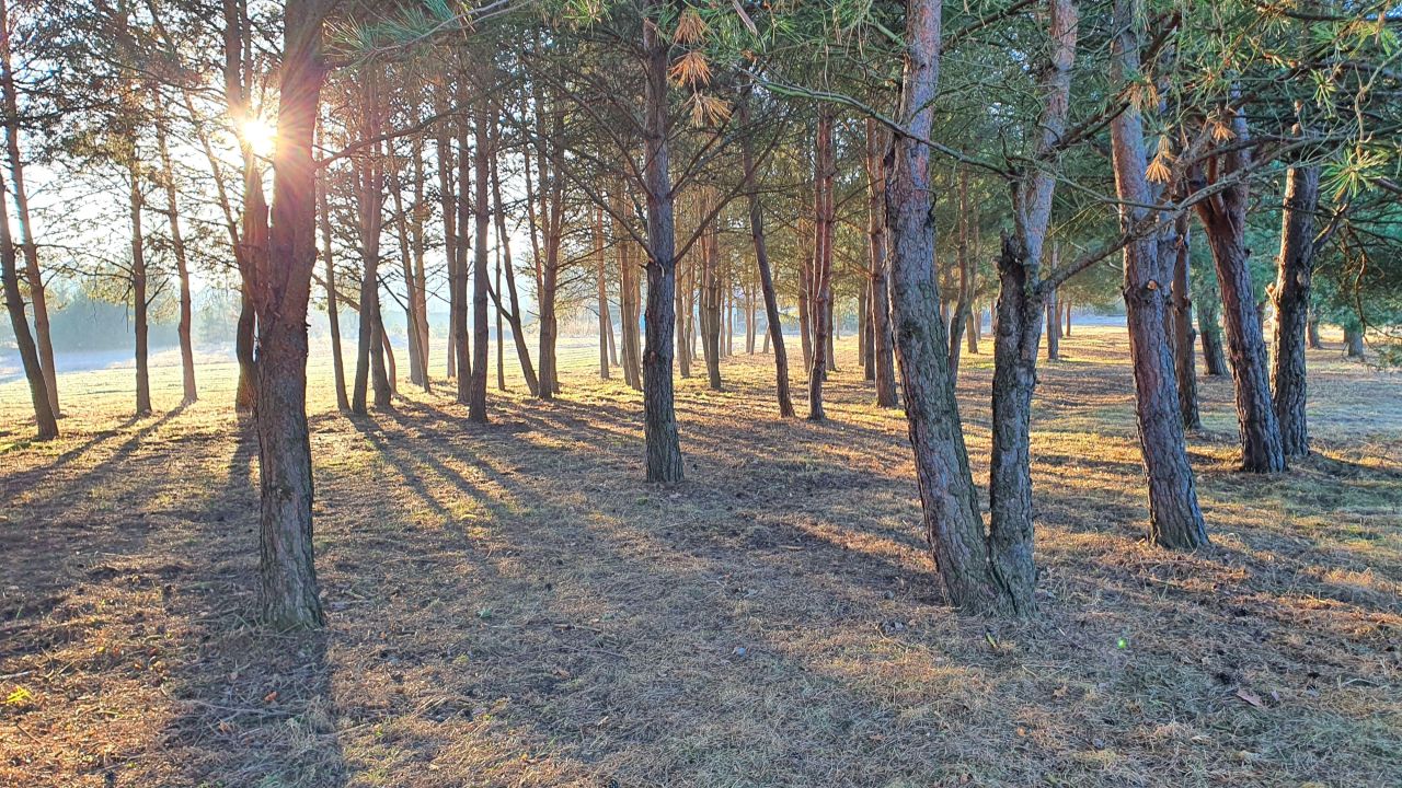 dom wolnostojący, 3 pokoje Skarbka Bidzińszczyzna, Bidizńszczyzna. Zdjęcie 13