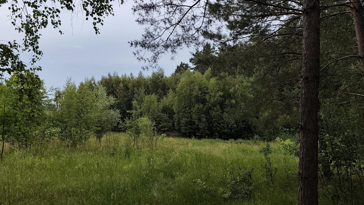 Działka rolno-budowlana Dębinka. Zdjęcie 2