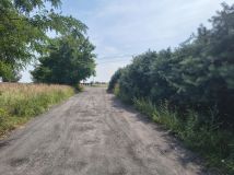 Działka rekreacyjna Ceradz Dolny, ul. Modrzewiowa. Zdjęcie 1
