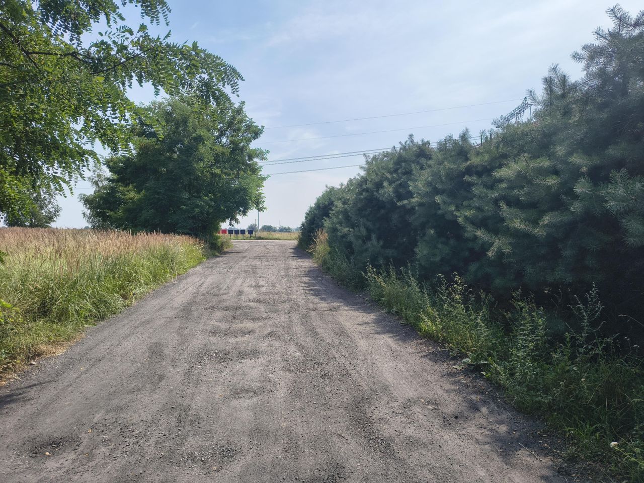 Działka rekreacyjna Ceradz Dolny, ul. Modrzewiowa. Zdjęcie 2