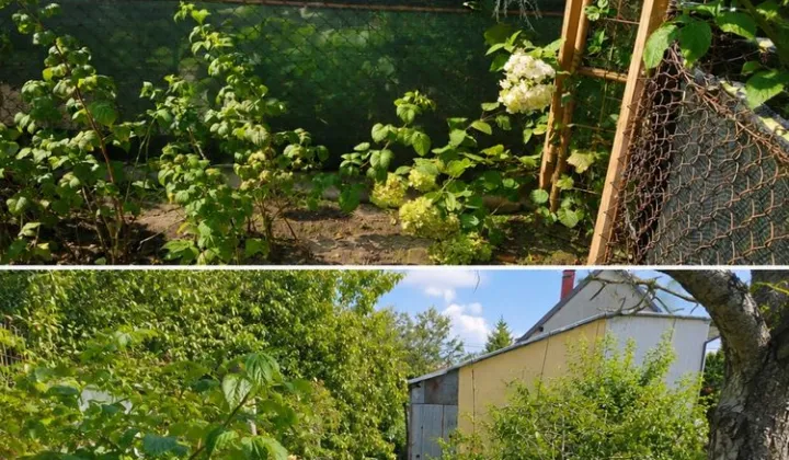 Działka rod Bartoszyce, ul. Orzeszkowej