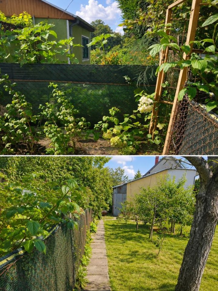 Działka rod Bartoszyce, ul. Orzeszkowej. Zdjęcie 1