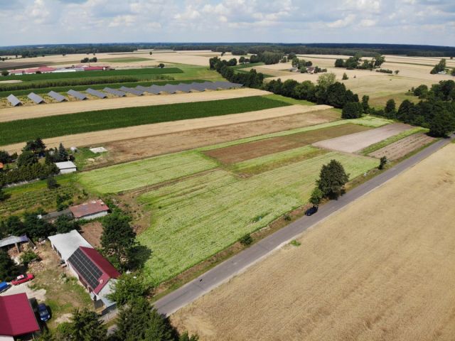 Działka budowlana Zdrzychów. Zdjęcie 2