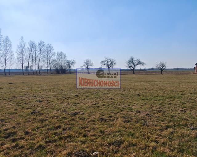 Działka budowlana Chlewiska. Zdjęcie 4