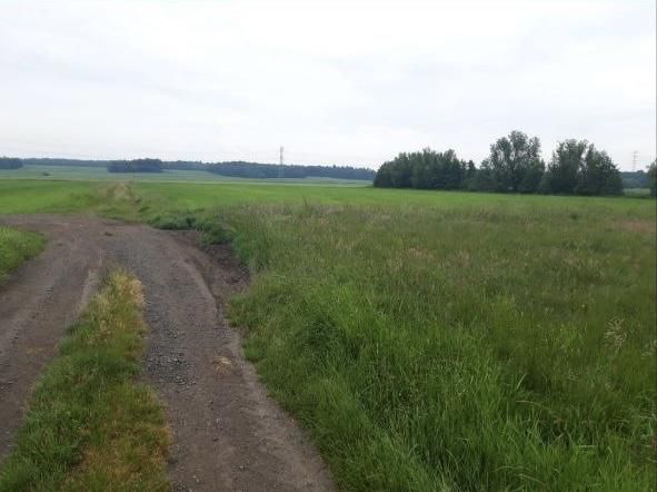 Działka budowlana Chmielno. Zdjęcie 3