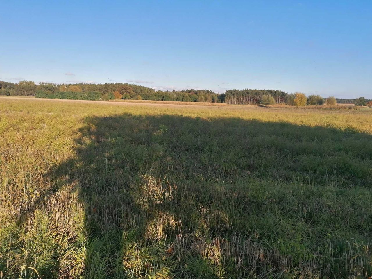 Działka budowlana Słuszków. Zdjęcie 7