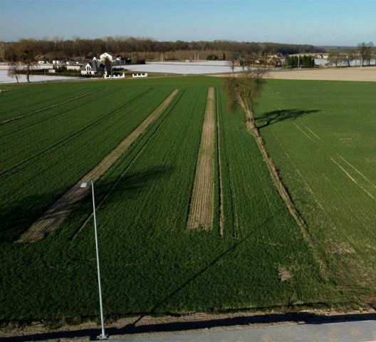 Działka budowlana Kroczewo. Zdjęcie 2