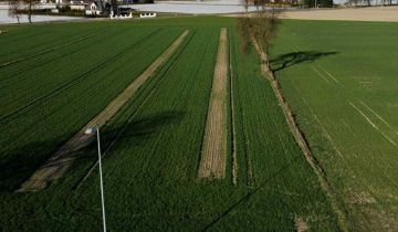 Działka budowlana Kroczewo