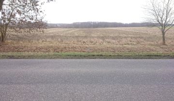 Działka rolna Sadkowo