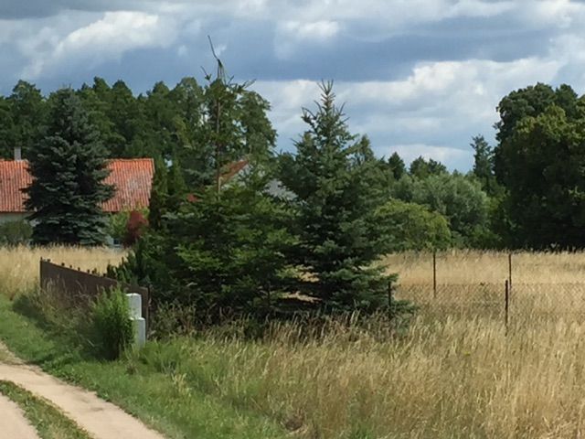 Działka budowlana Ogonki, ul. Letniskowa. Zdjęcie 1