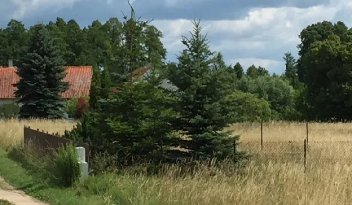 Działka budowlana Ogonki, ul. Letniskowa