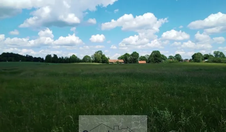 Działka budowlana Żywy