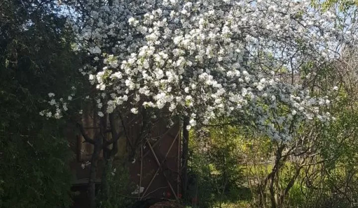 Działka rod Sokolniki