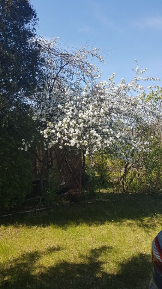 Działka rod Sokolniki