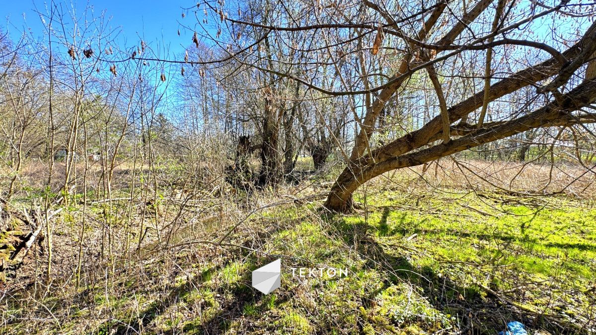 Działka budowlana Jaktorów, ul. Szaserów. Zdjęcie 4