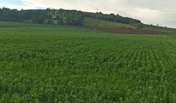 Działka rolna Ścinawka Dolna