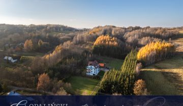 dom wolnostojący, 7 pokoi Hucisko Jawornickie