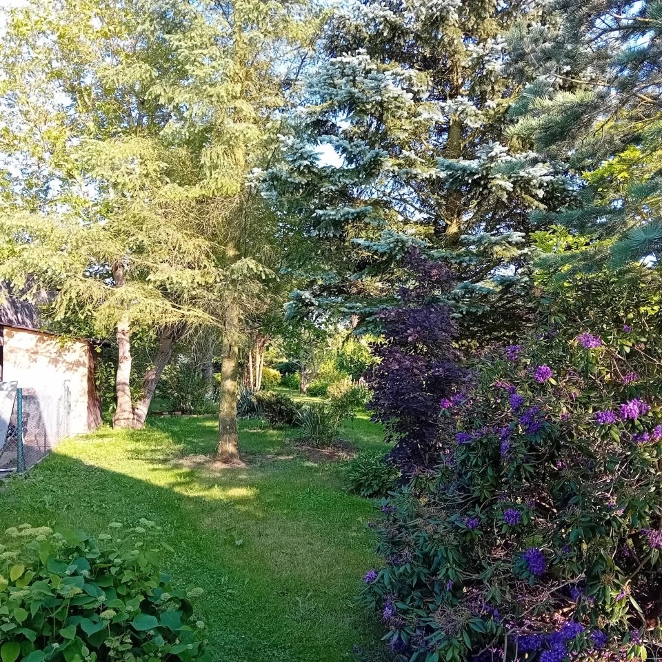 dom wolnostojący, 5 pokoi Grabina Radziwiłłowska, ul. Duża. Zdjęcie 20