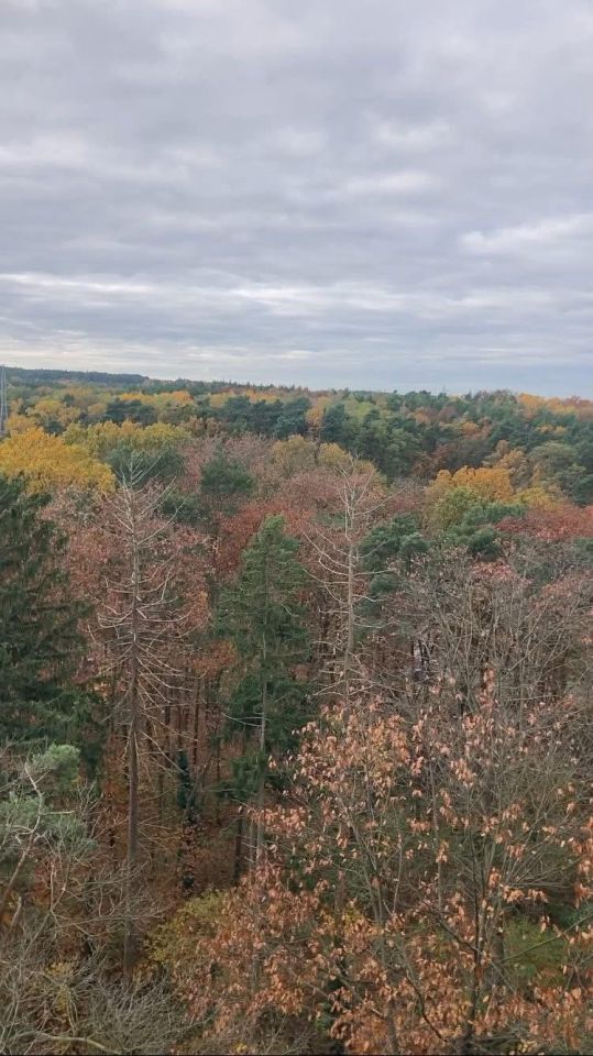 Mieszkanie 2-pokojowe Zielona Góra Przyjaźń, ul. Francuska. Zdjęcie 21