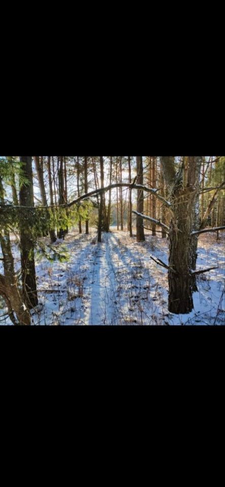 Działka rolna Strękowizna. Zdjęcie 7