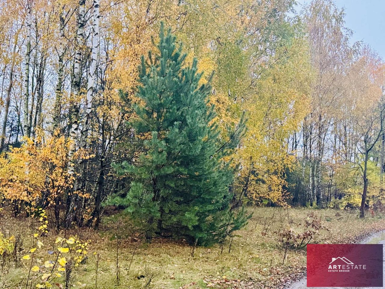 Działka budowlana Słowak. Zdjęcie 1