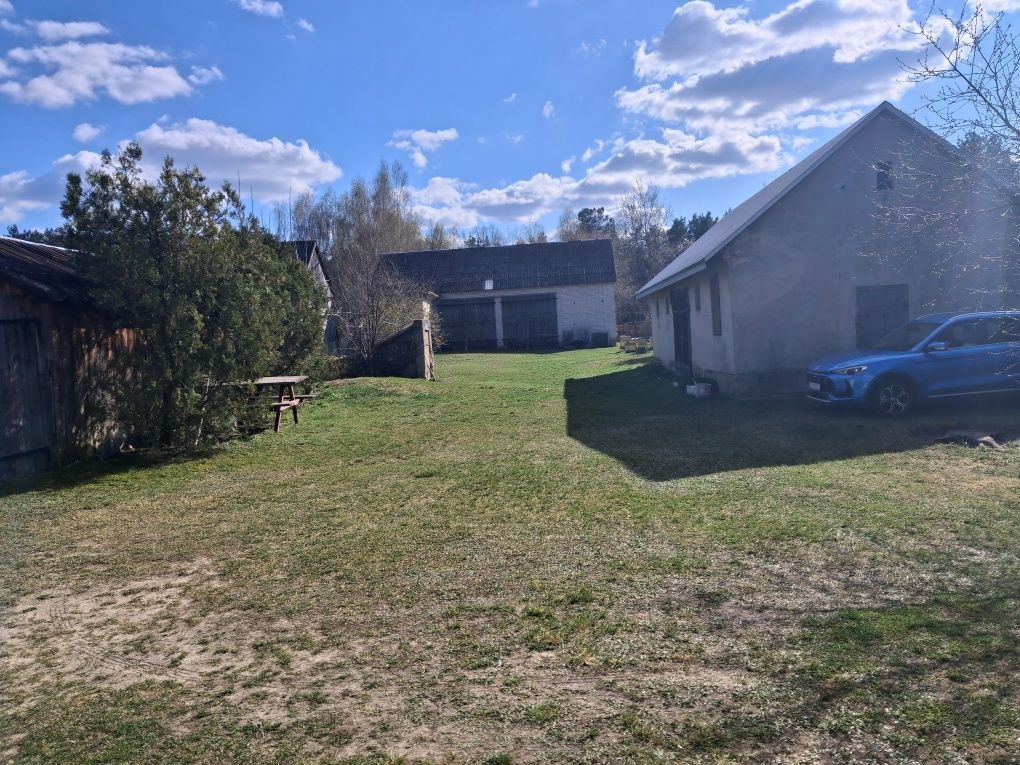 siedlisko Domanice. Zdjęcie 1