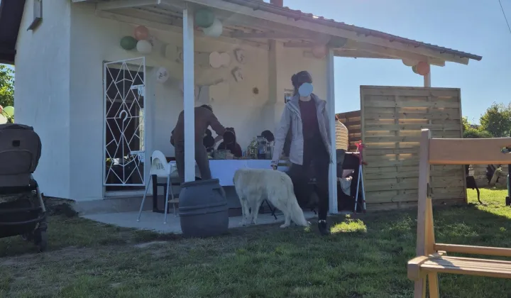 Działka rod Zielona Góra