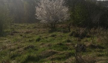 Działka budowlana Sanka. Zdjęcie 1