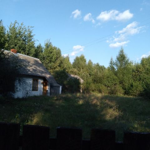 Działka budowlana Koszorów. Zdjęcie 1