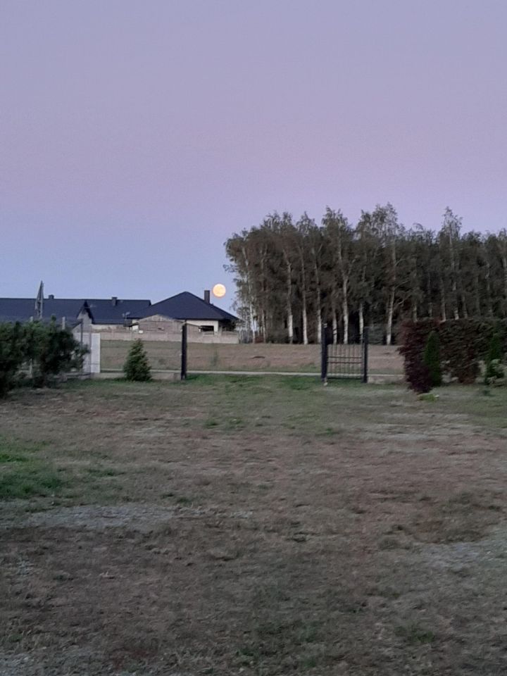dom wolnostojący, 4 pokoje Budzyno-Bolki. Zdjęcie 7