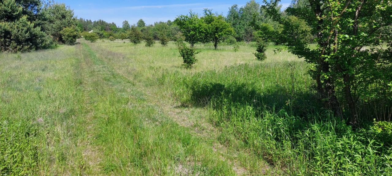 Działka rolno-budowlana Kołbiel. Zdjęcie 3