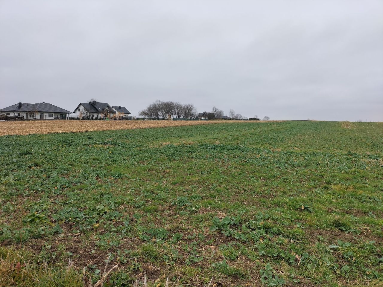 Działka budowlana Morawsko. Zdjęcie 2