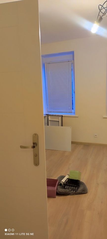 Lokal Poznań Wilda. Zdjęcie 2