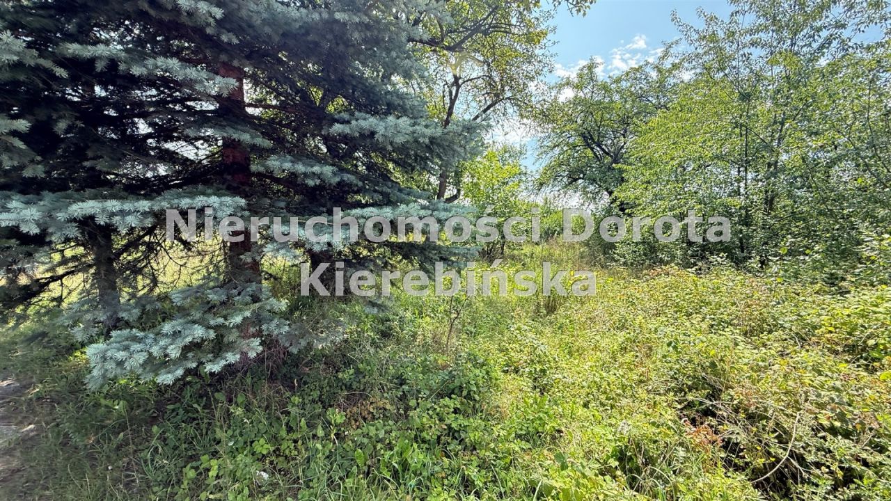 Działka rolna Tomaszów Mazowiecki Nagórzyce, ul. Ludowa. Zdjęcie 8