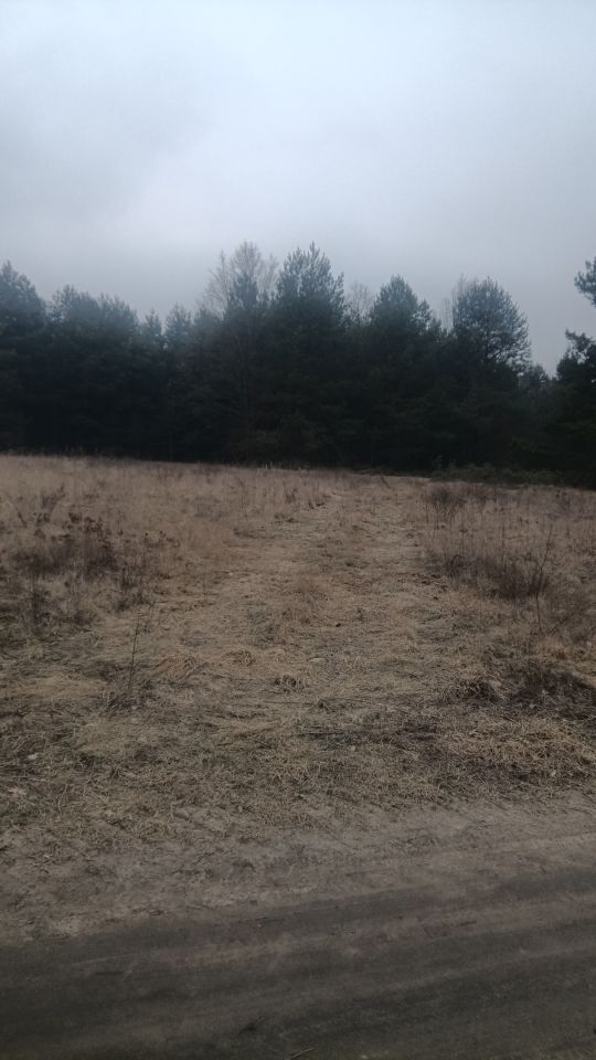 Działka budowlana Sucha, ul. Zaciszna. Zdjęcie 7