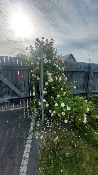 dom wolnostojący, 3 pokoje Strzyżewo. Zdjęcie 7