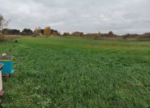 Działka rolno-budowlana Nowe Włóki