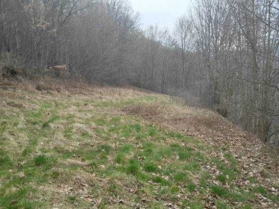 Działka rekreacyjna Bysina. Zdjęcie 4