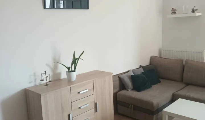 Mieszkanie 1-pokojowe Kraków Czyżyny, ul. Bolesława Orlińskiego