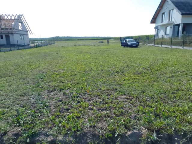 Działka budowlana Sosna-Kozółki. Zdjęcie 1