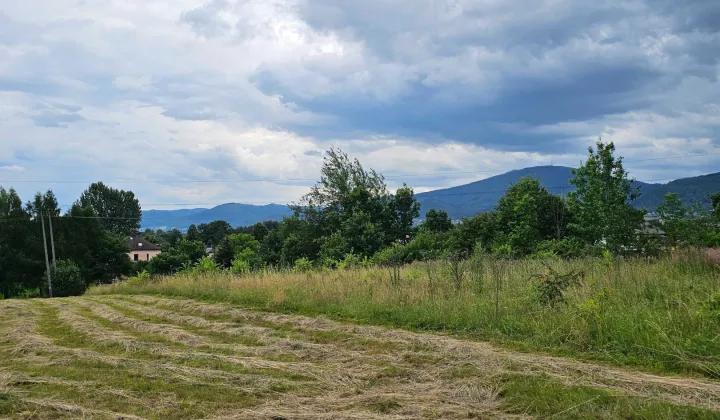 Działka budowlana Rybarzowice