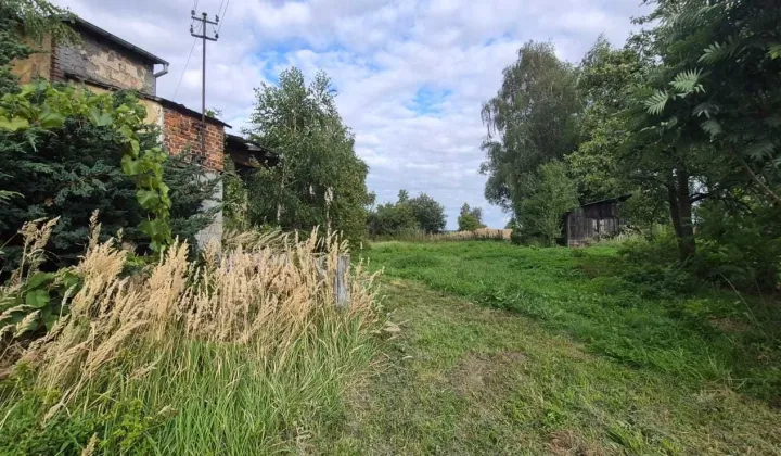 Działka rolno-budowlana Gaszyn, ul. Źródlana