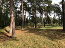 Działka budowlana Niemieczkowo. Zdjęcie 4