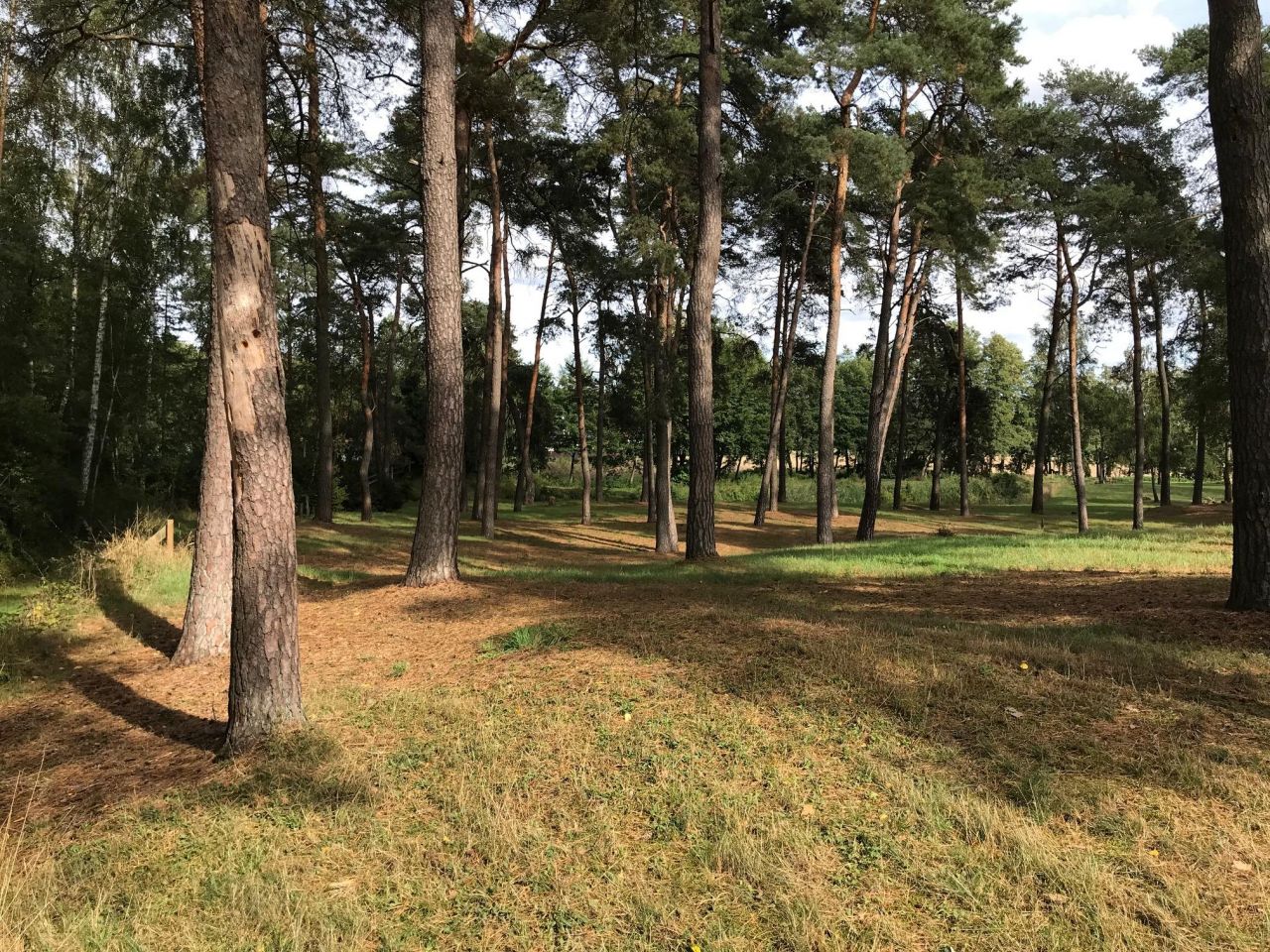 Działka budowlana Niemieczkowo. Zdjęcie 5