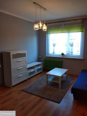 Mieszkanie 1-pokojowe Siemianowice Śląskie Michałkowice, ul. Witolda Budryka. Zdjęcie 1